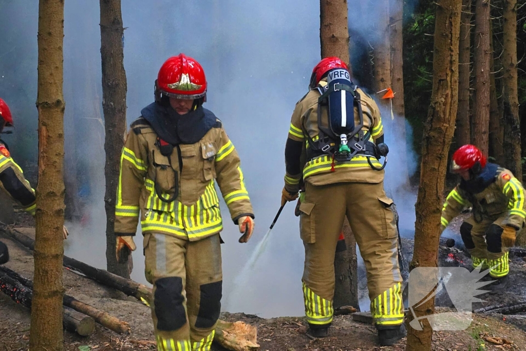 Brandweer ingezet voor bosbrand