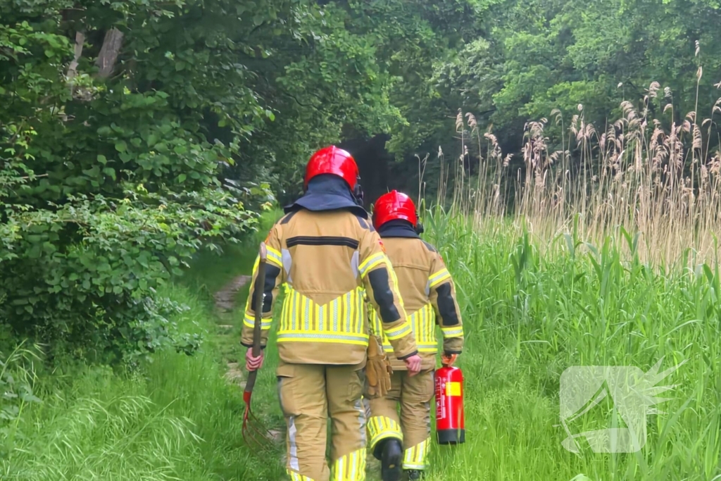Brandweer ingezet voor bosbrand
