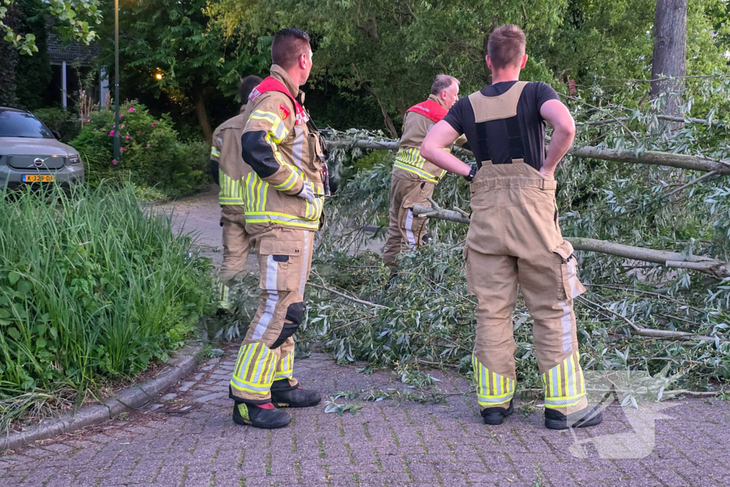 Brandweer ingezet voor boom over de weg