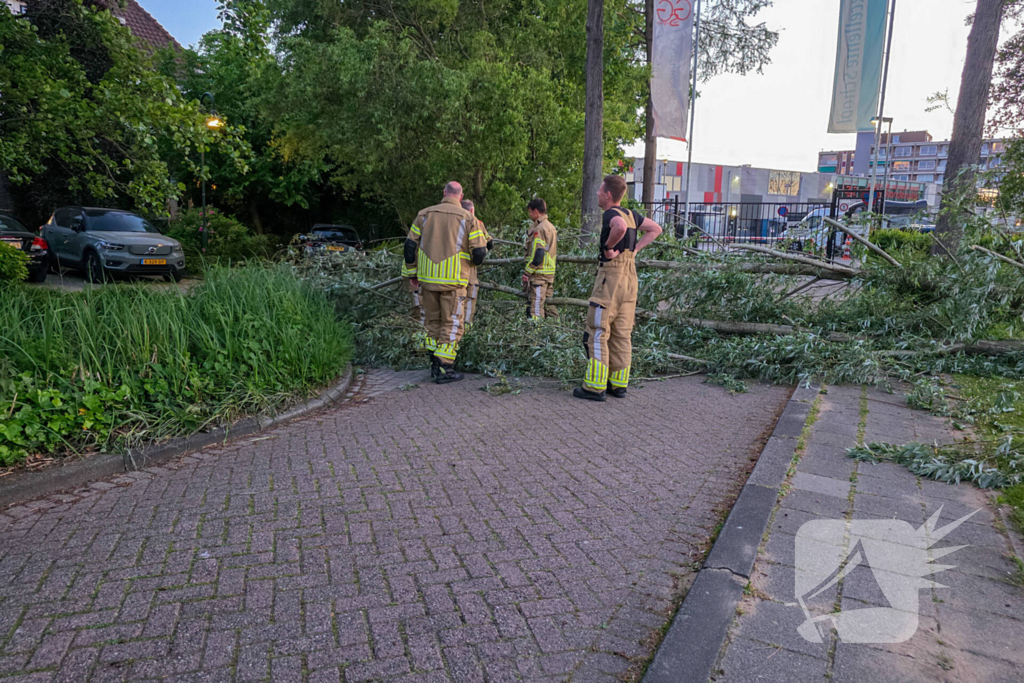 Brandweer ingezet voor boom over de weg