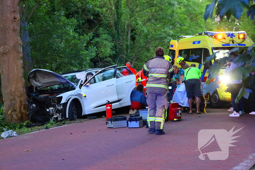 Gewonden nadat auto tegen boom klapt