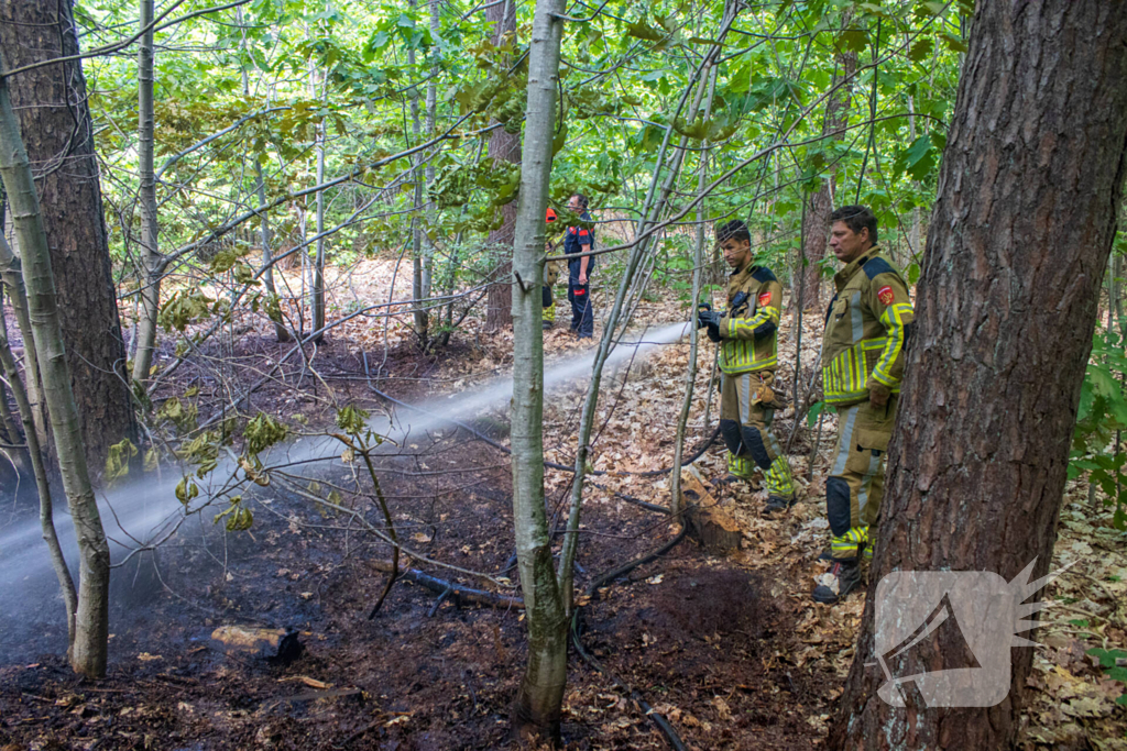 Brand in natuurgebied in de kiem gesmoord