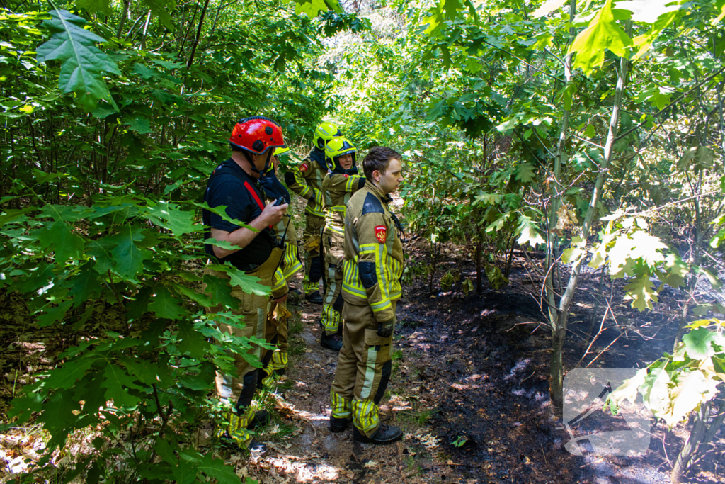 Brand in natuurgebied in de kiem gesmoord