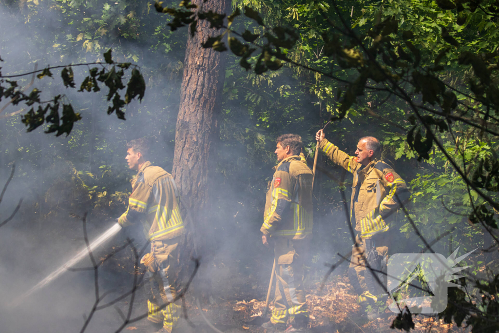 Brand in natuurgebied in de kiem gesmoord