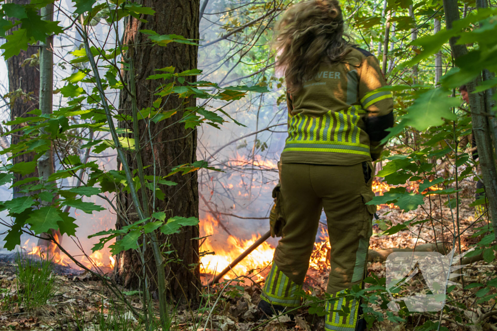 Brand in natuurgebied in de kiem gesmoord