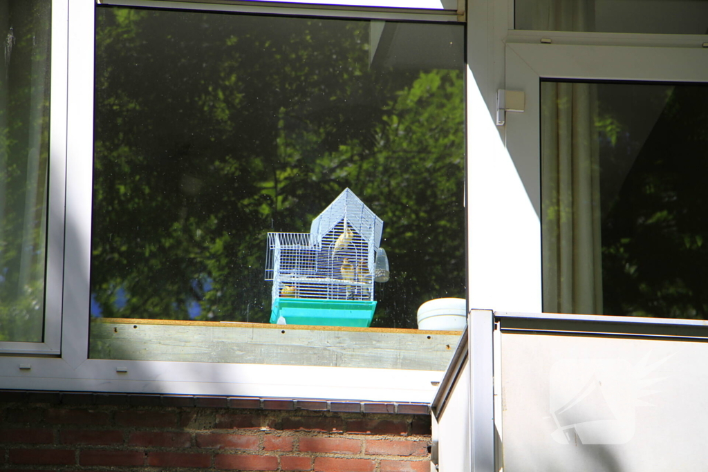 Vogels gered door brandweer bij woningbrand