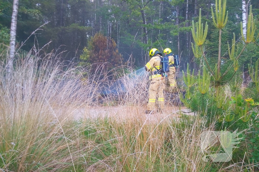 Brand in bosgebied door brandweer geblust