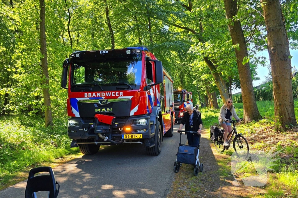Grote brandweerinzet bij bosbrand