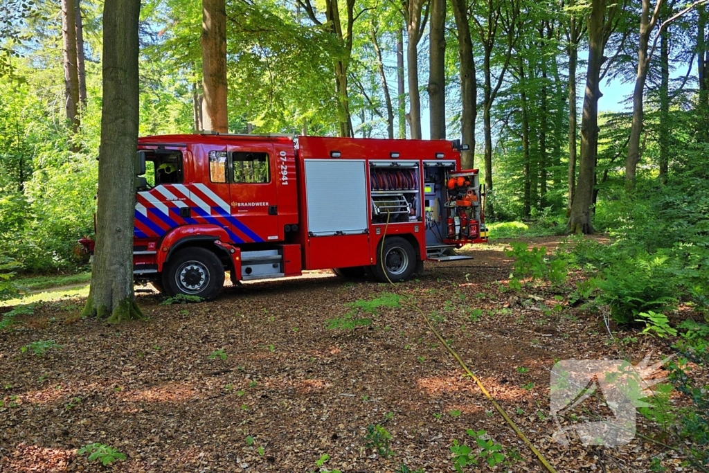 Grote brandweerinzet bij bosbrand
