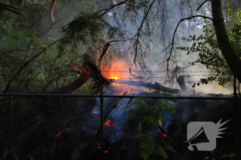 Brand in bos zorgt voor inzet brandweer
