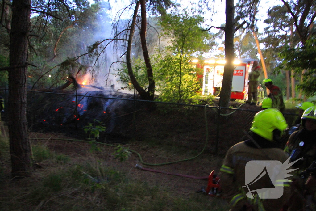 Brand in bos zorgt voor inzet brandweer