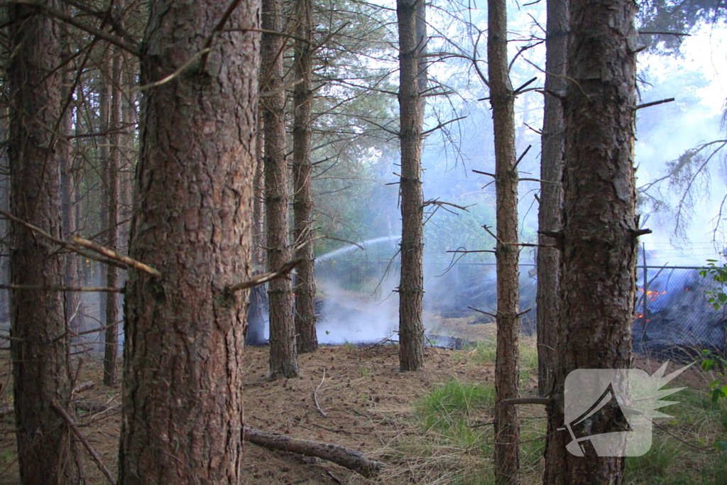 Brand in bos zorgt voor inzet brandweer