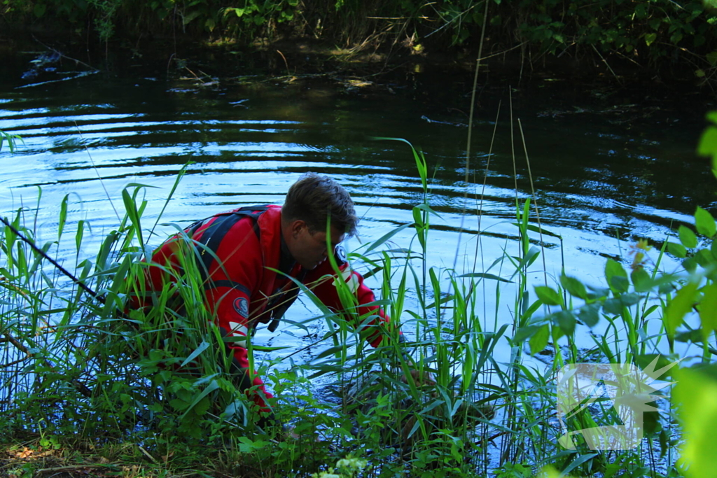 Bok belandt in het water na hondaanval