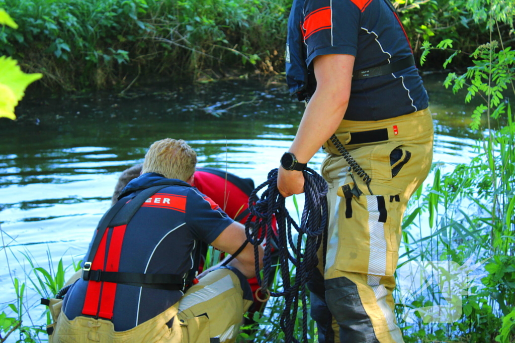 Bok belandt in het water na hondaanval