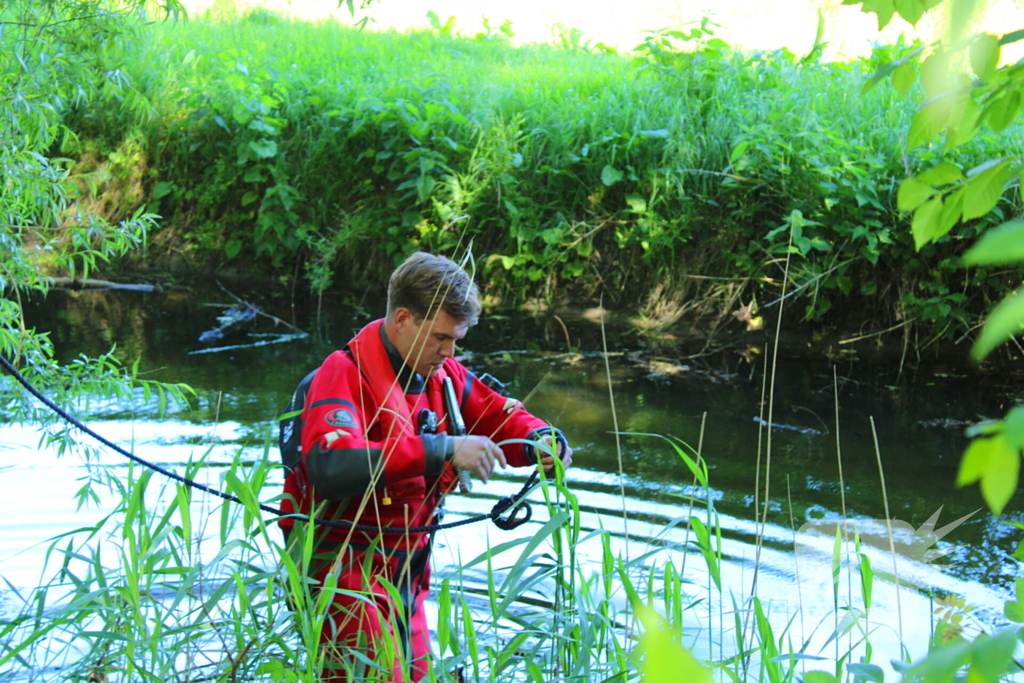 Bok belandt in het water na hondaanval