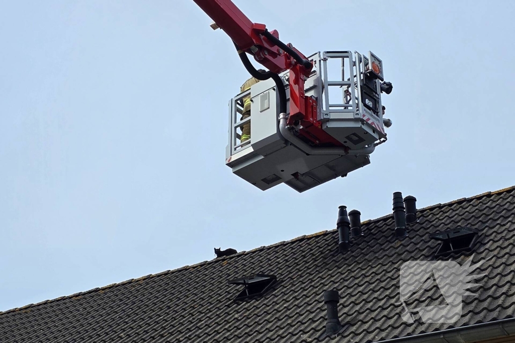 Brandweer redt kat na sprongetje van dak
