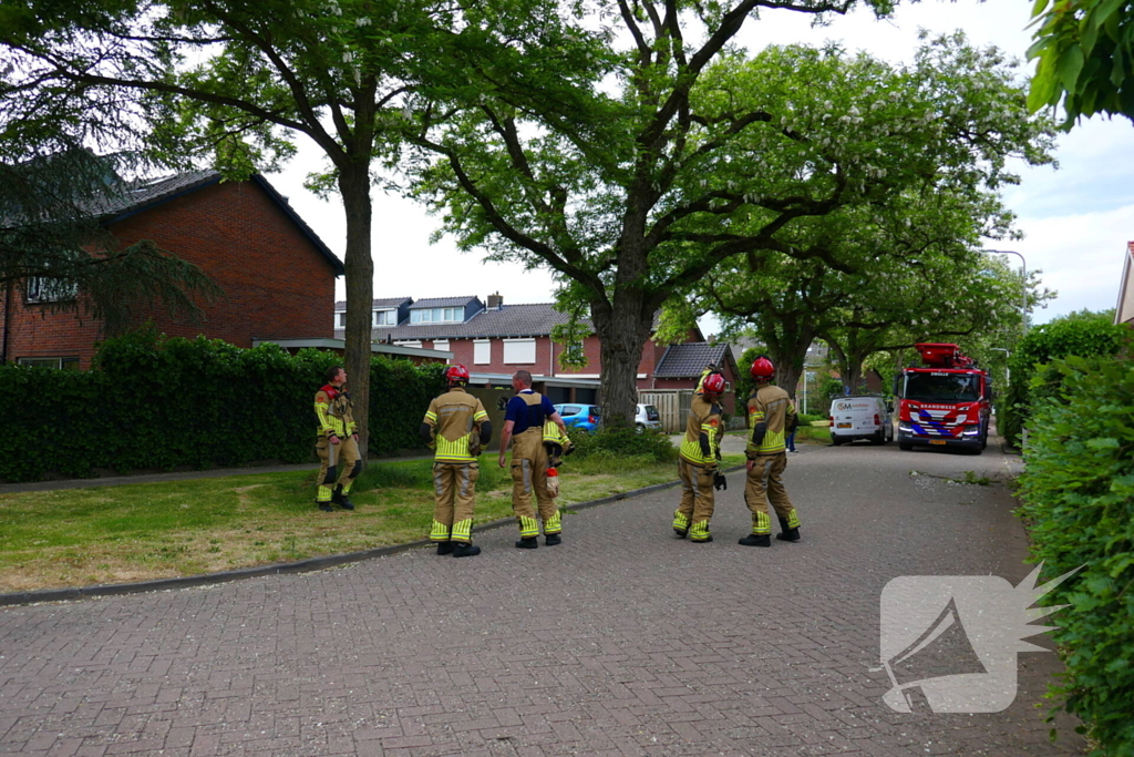 Onveilige situatie door afbrekende tak