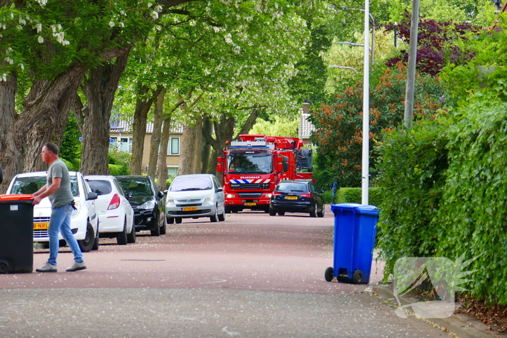 Onveilige situatie door afbrekende tak