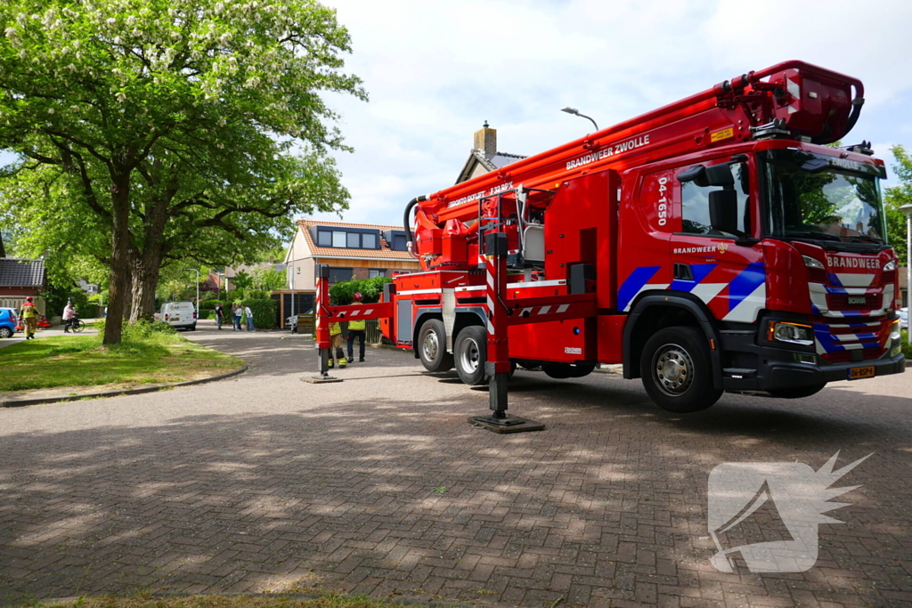 Onveilige situatie door afbrekende tak