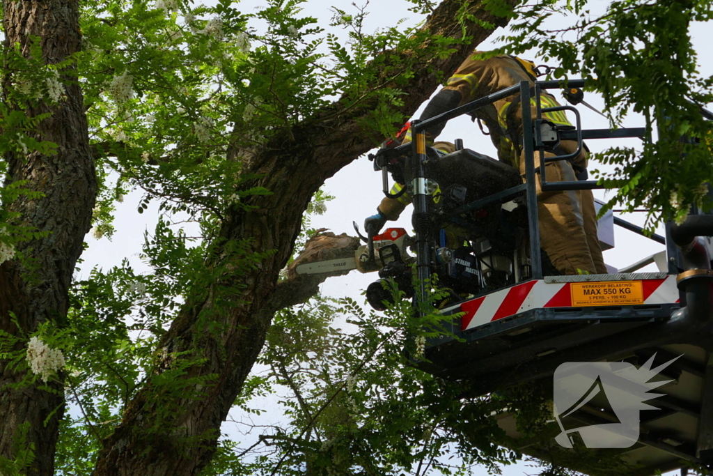 Onveilige situatie door afbrekende tak