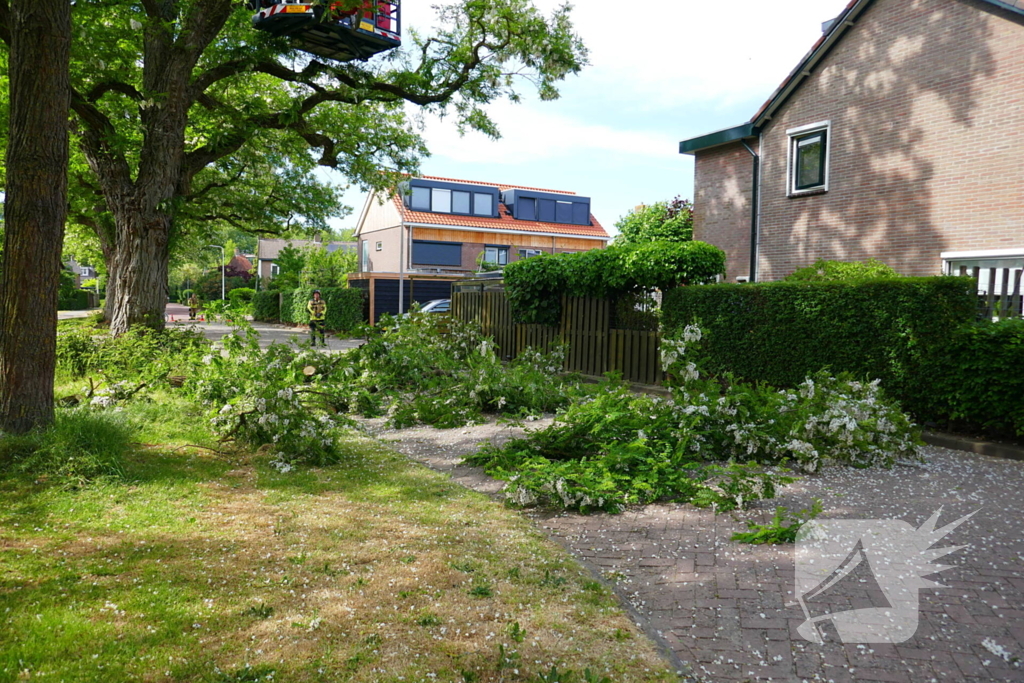 Onveilige situatie door afbrekende tak