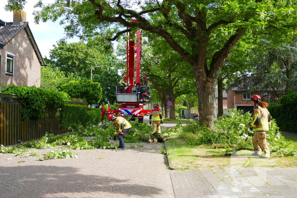 Onveilige situatie door afbrekende tak