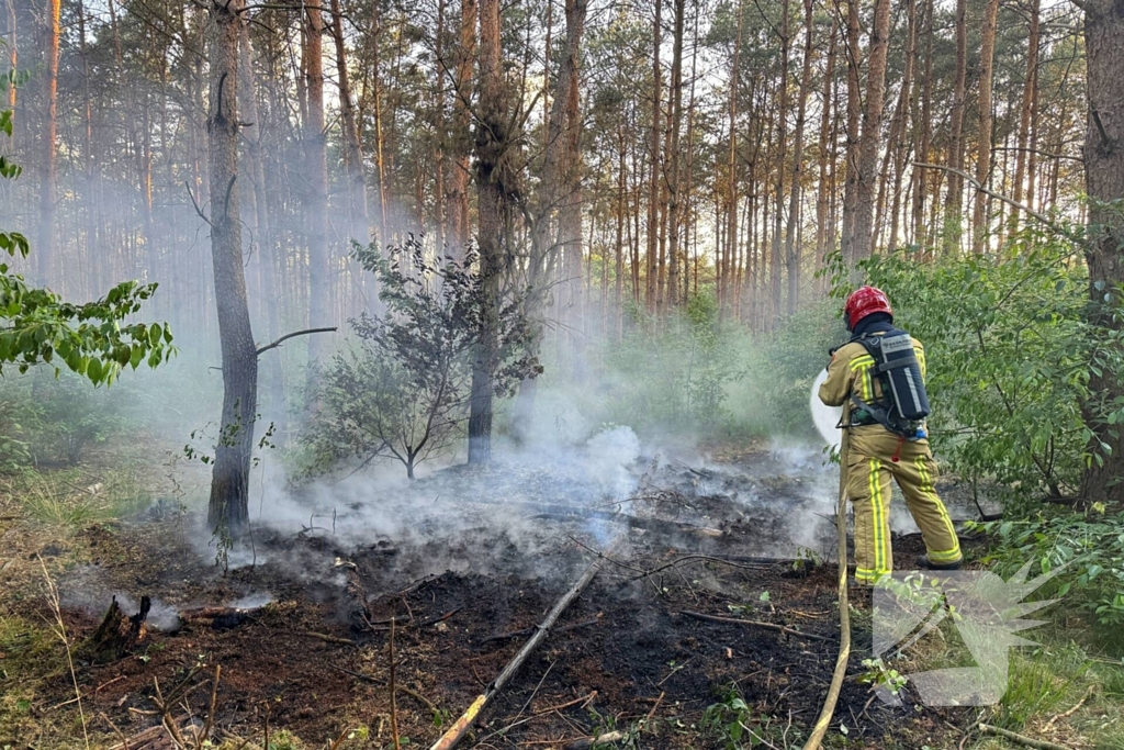 Oplettende voorbijgangers ontdekken bosbrand