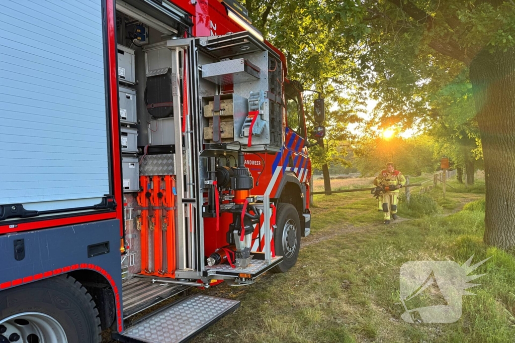 Oplettende voorbijgangers ontdekken bosbrand