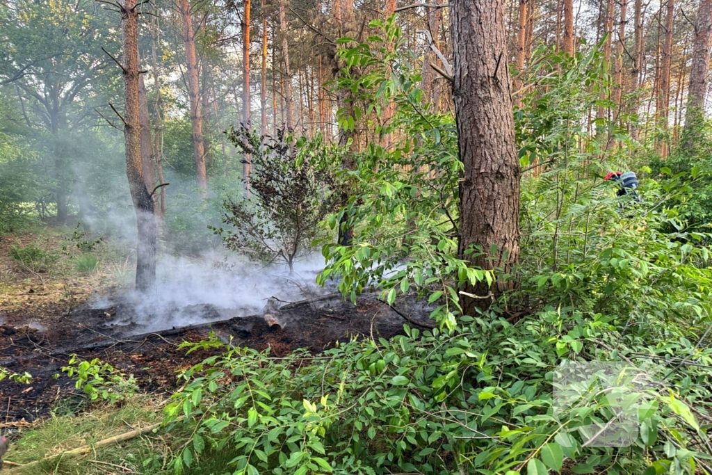 Oplettende voorbijgangers ontdekken bosbrand