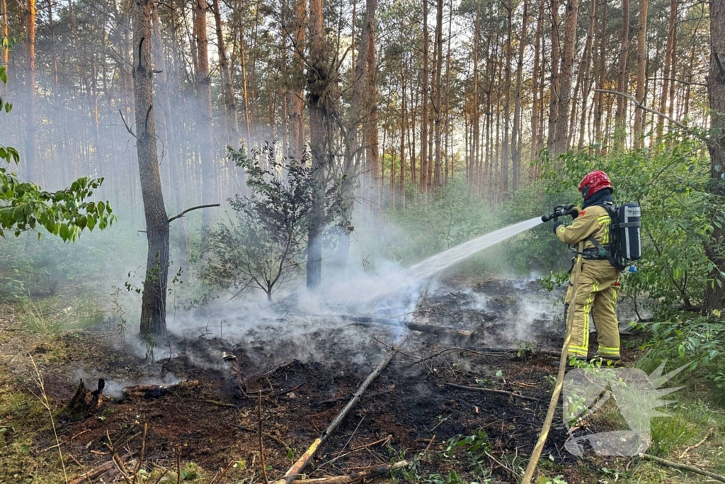 Oplettende voorbijgangers ontdekken bosbrand