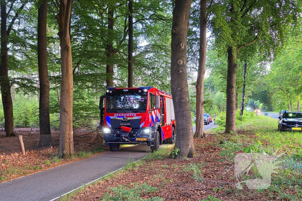 Ruiters ontdekken beginnende bosbrand