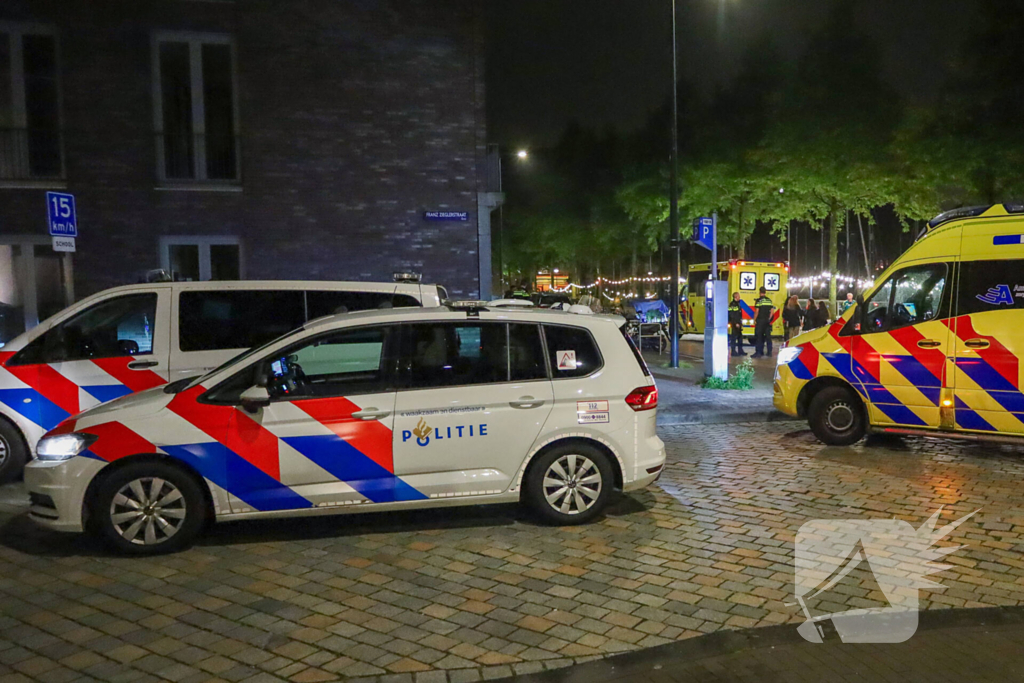 Steekincident leidt tot lichte verwondingen