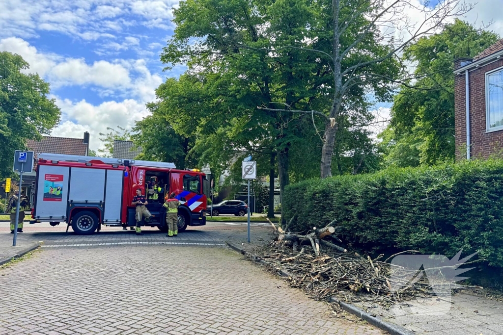 Brandweer zaagt tak om gevaar te verminderen