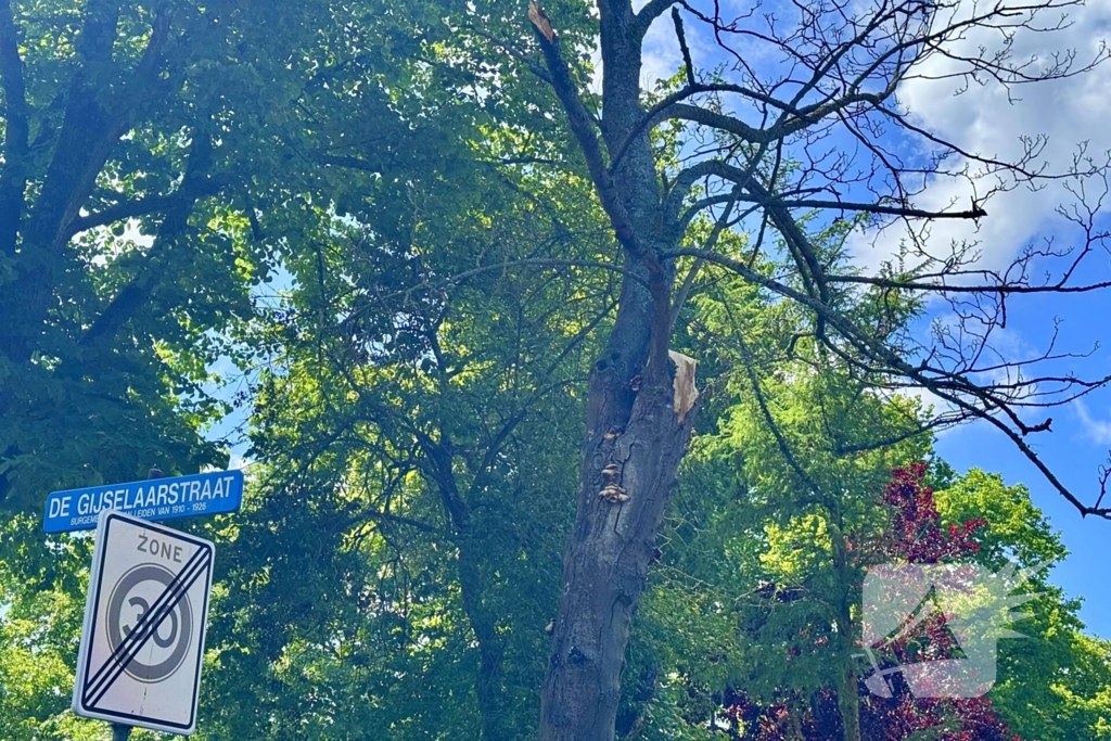 Brandweer zaagt tak om gevaar te verminderen