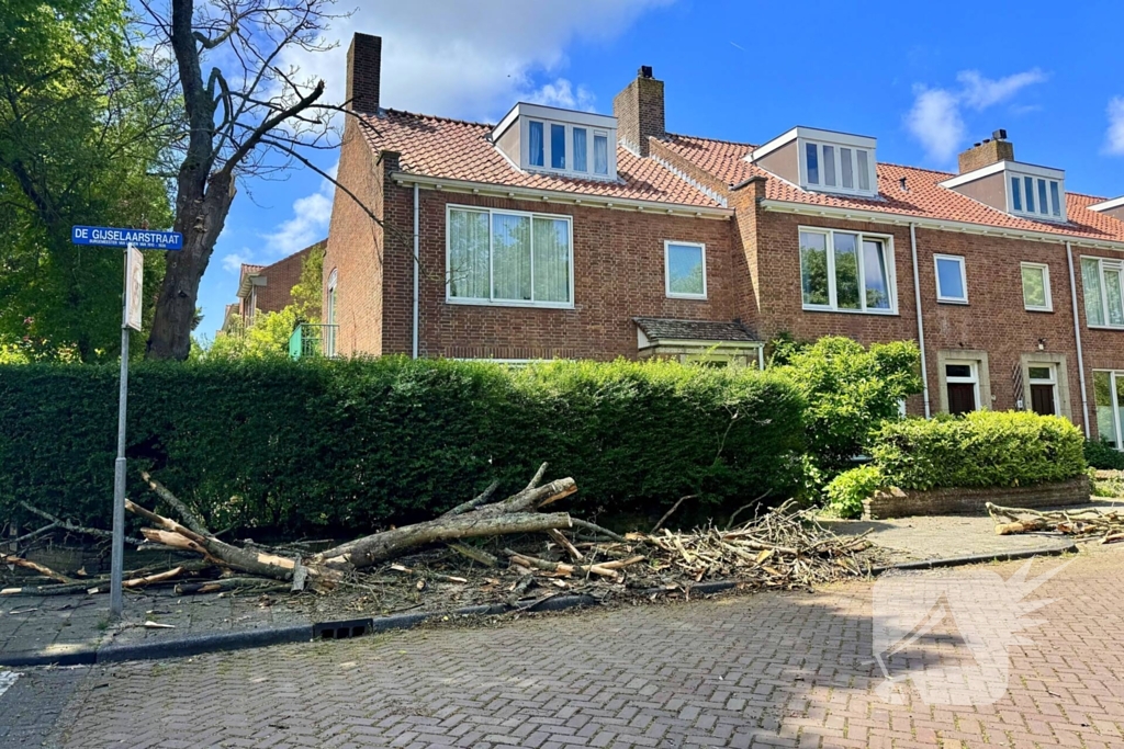 Brandweer zaagt tak om gevaar te verminderen