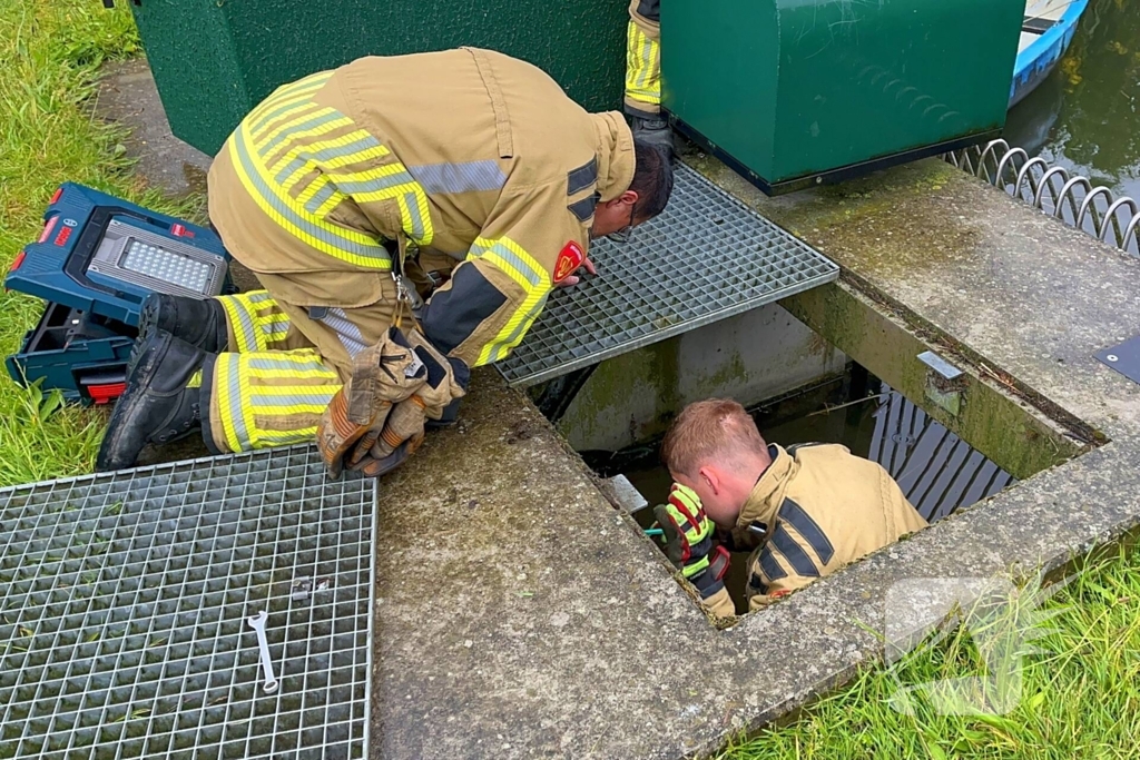 Brandweer redt vastzittende eendjes