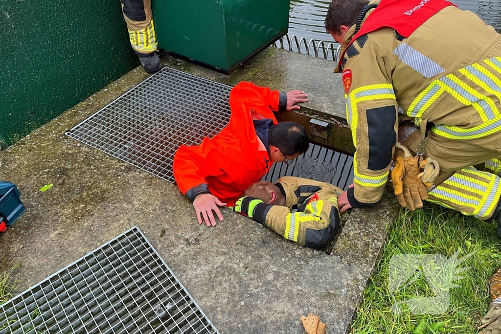 Brandweer redt vastzittende eendjes