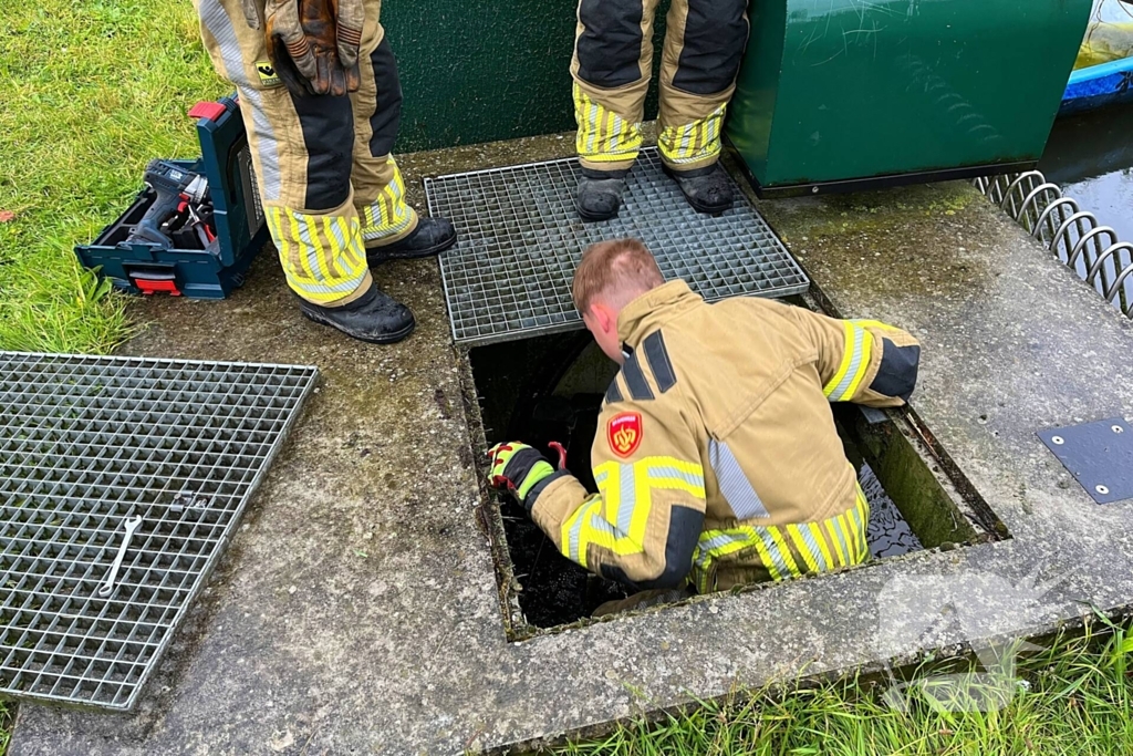 Brandweer redt vastzittende eendjes