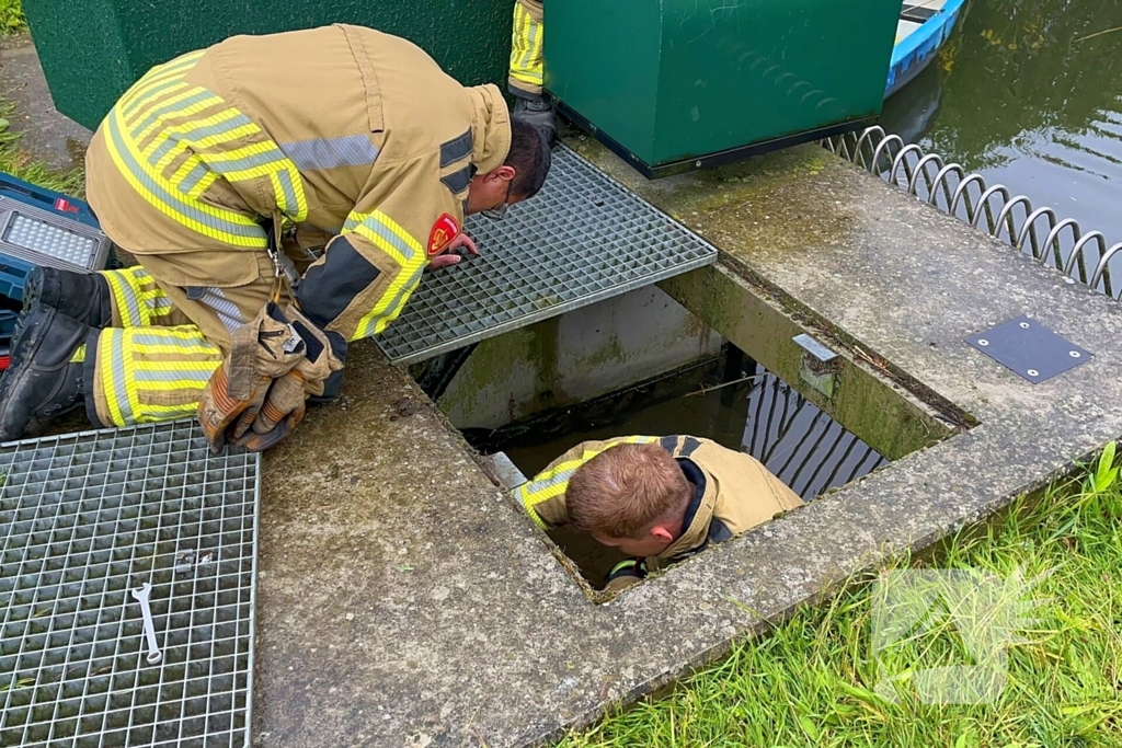 Brandweer redt vastzittende eendjes
