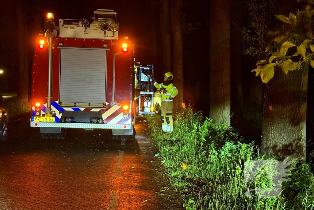 Dikke tak veroorzaakt verkeershinder