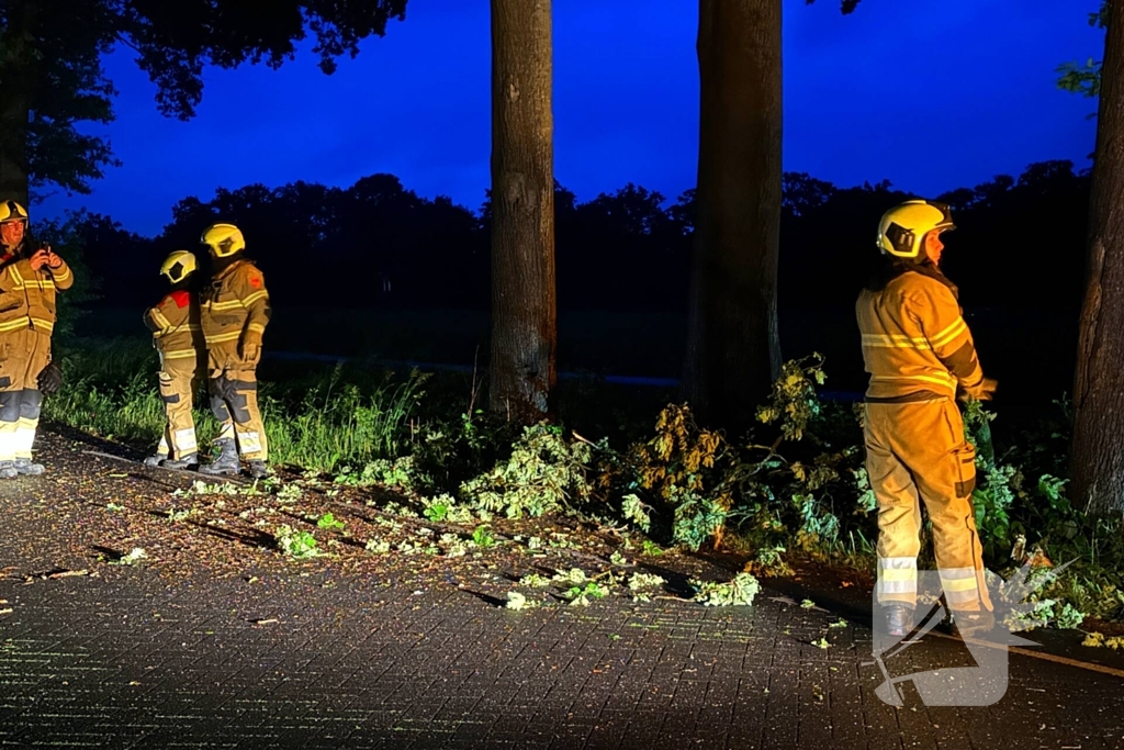 Dikke tak veroorzaakt verkeershinder