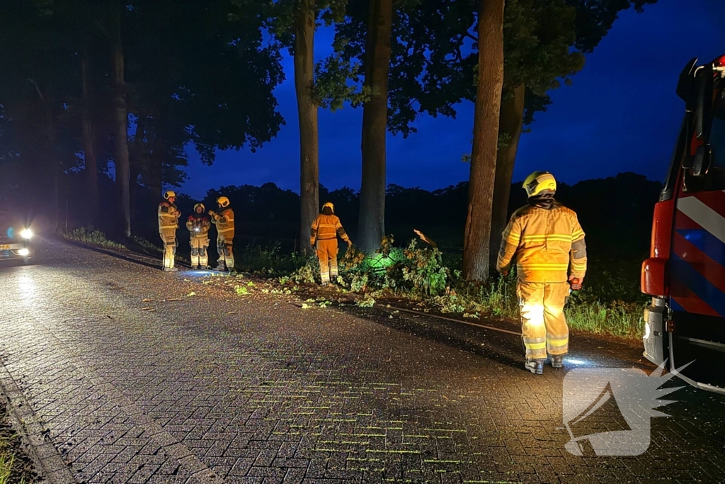 Dikke tak veroorzaakt verkeershinder