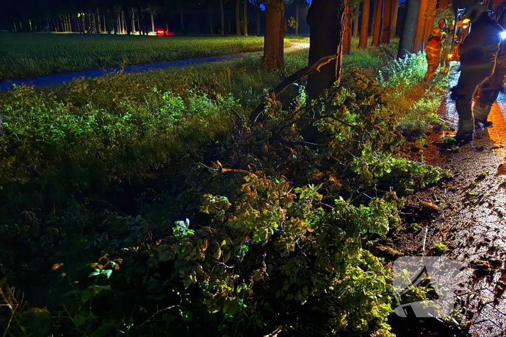 Dikke tak veroorzaakt verkeershinder