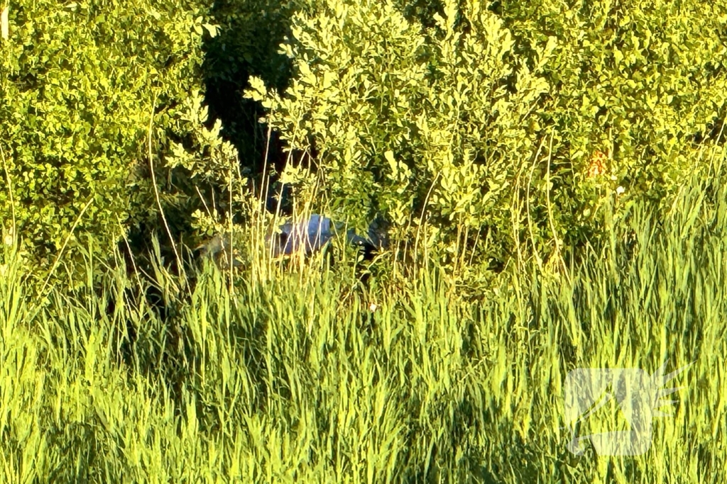 Ongeval leidt tot gewonden en verkeershinder