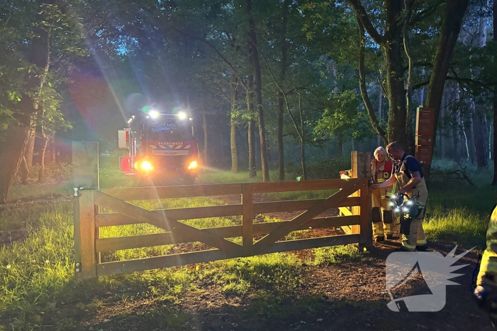 Wandelaars alert bij aantreffen kalf