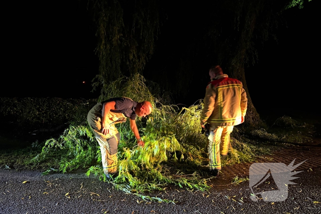 Grote boomtak blokkeert weg