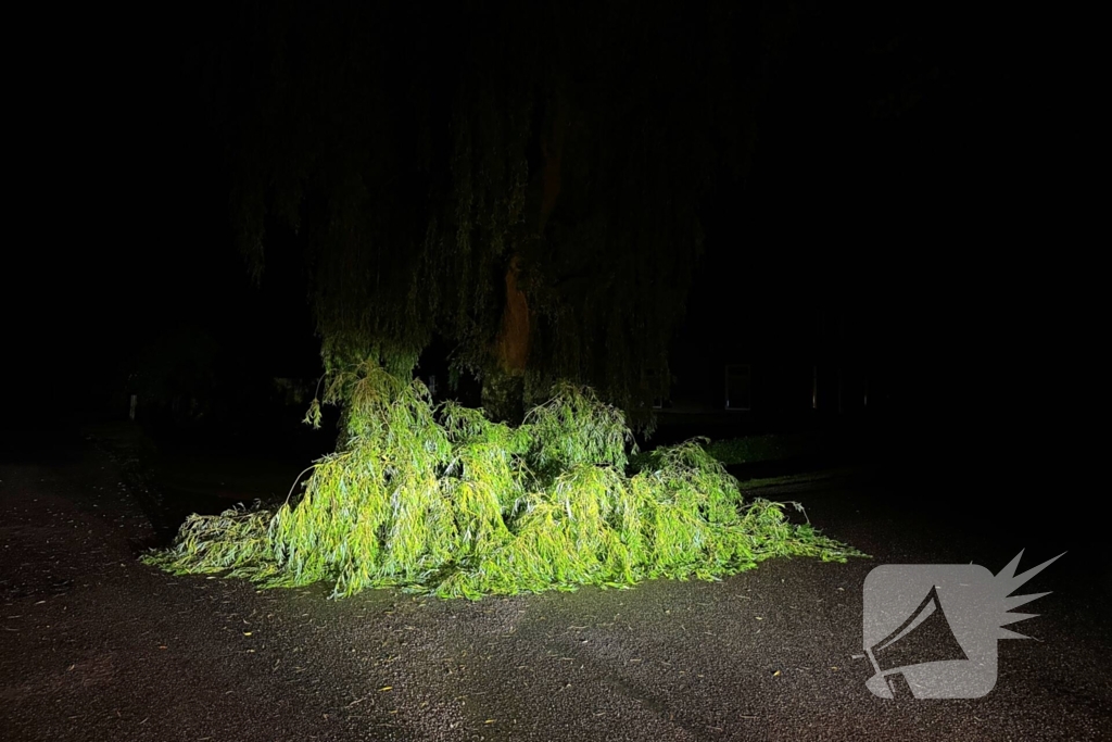 Grote boomtak blokkeert weg