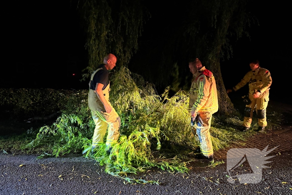 Grote boomtak blokkeert weg