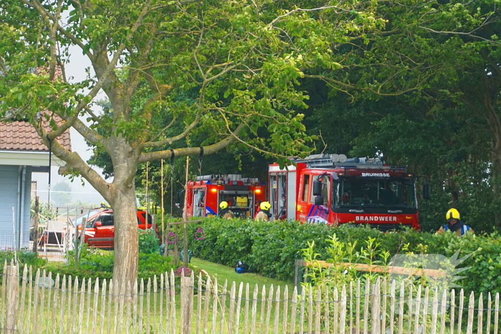 Paarden gered bij uitslaande brand