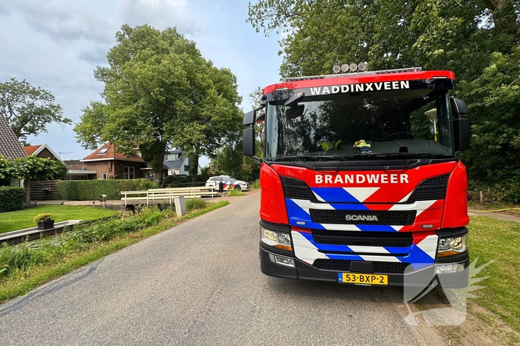 Brand in bosschages om onbekende oorzaak